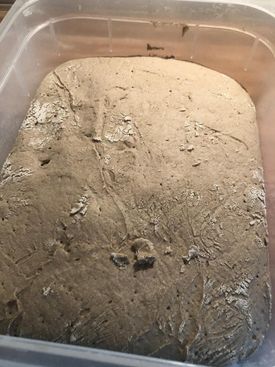 100% Roggenbrot