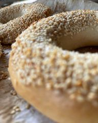Bagel